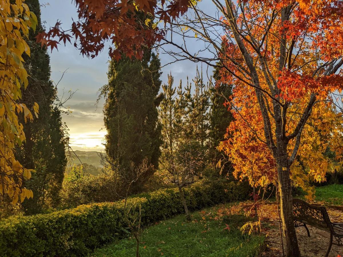 موغاينا Casa Rural Bilbao Caserio Gondra Alquiler Habitaciones المظهر الخارجي الصورة