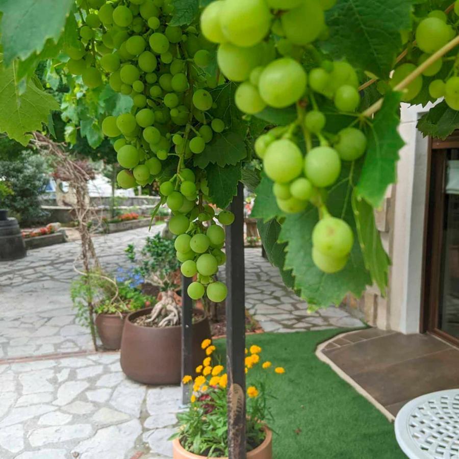 موغاينا Casa Rural Bilbao Caserio Gondra Alquiler Habitaciones المظهر الخارجي الصورة